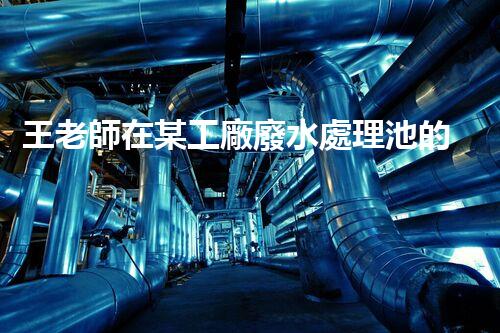 王老師在某工廠廢水處理池的驚人發(fā)現(xiàn)！